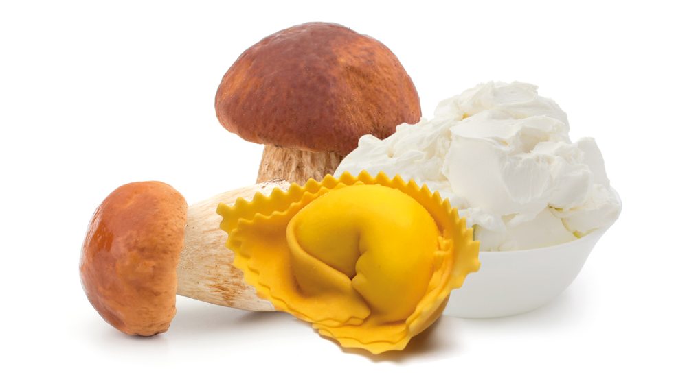 porcini